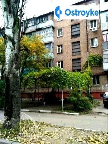 Северное шоссе — фото 1
