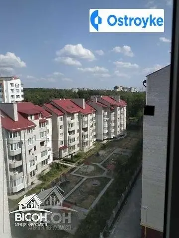 Рєпіна — фото 3