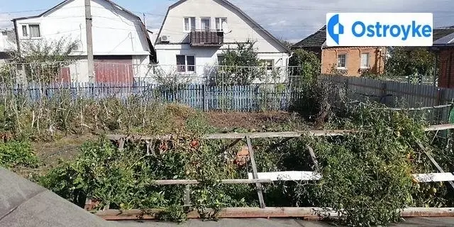 Кутузова — фото 2