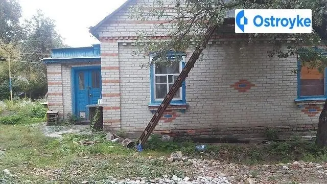 Лісова — фото 2
