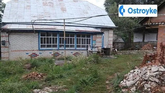 Лісова — фото 3