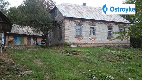 Лісова