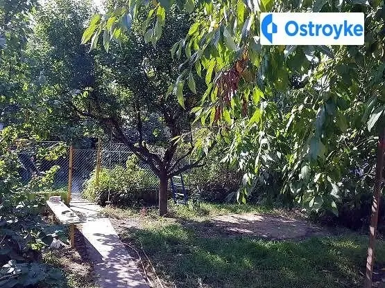Чубаевка,улица Чубаевская — фото 3