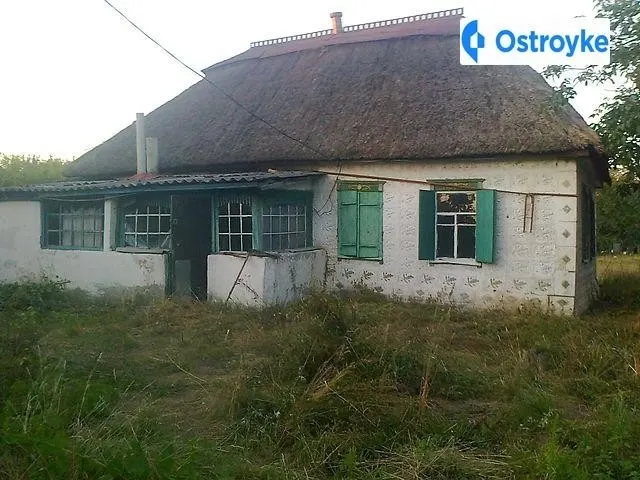 с. Селянивка, вул. Шляхова — фото 1