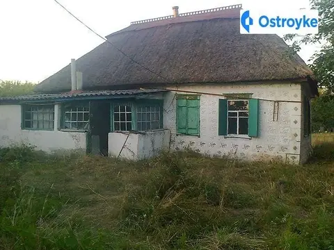 с. Селянивка, вул. Шляхова