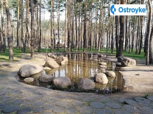 Університетська улица — фото 2