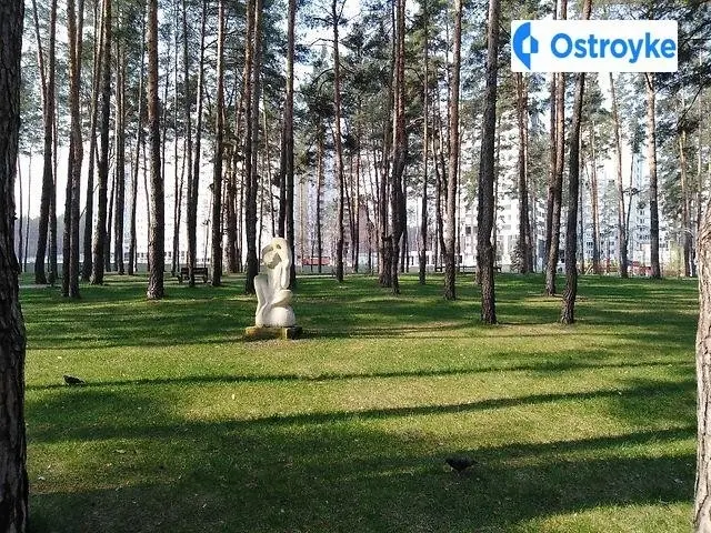 Університетська улица — фото 2