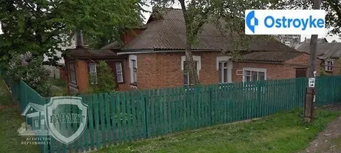 Олени Пчілки