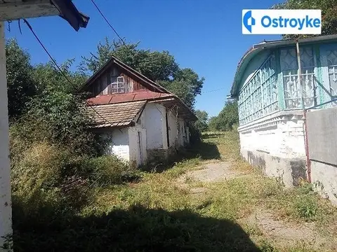 Зелена