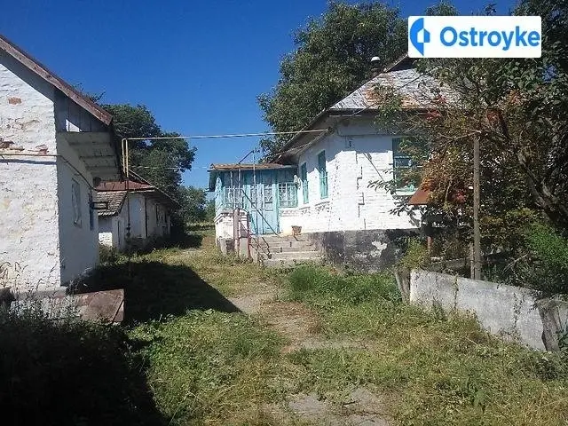 Зелена — фото 4