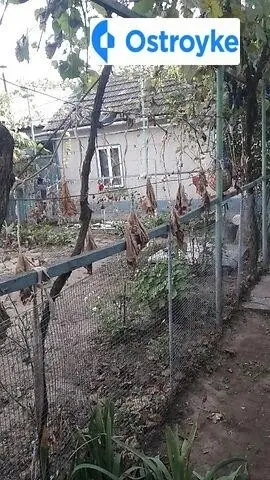 Продажа дома, 78 м², Измаил — фото 3