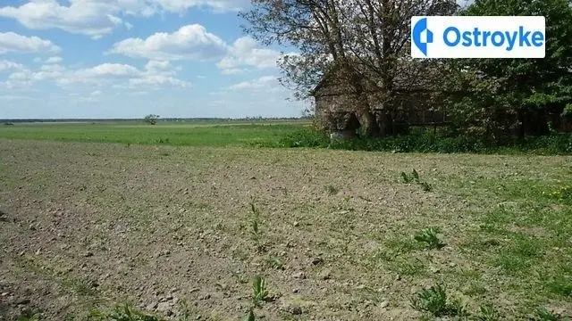 Продаж будинку, 72 м², Рожище — фото 4
