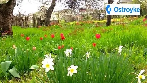 4-кімнатна будинок, 100 м², вул. Шилова, Одеса