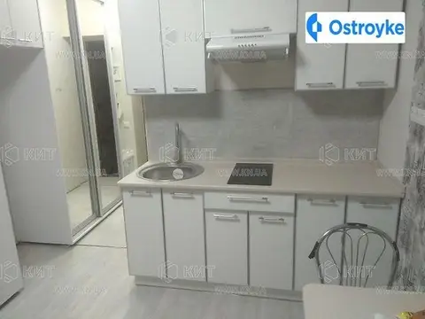 1-кімнатна квартира, 20 м², вул. Фесенківська, Харків