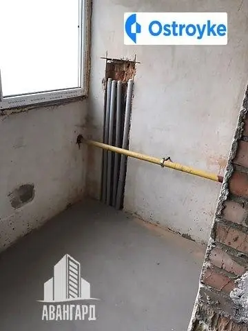Рєпіна — фото 4