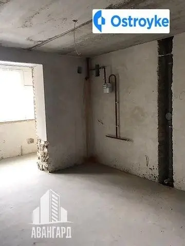 Рєпіна — фото 5