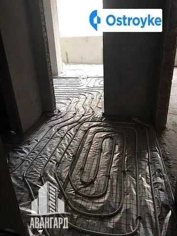 Рєпіна — фото 3