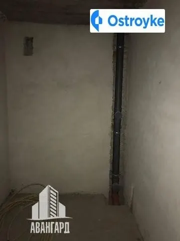 Рєпіна — фото 1