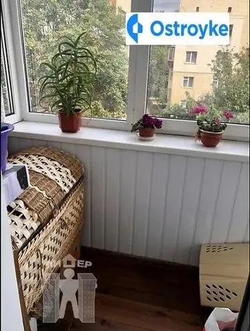 Мира проспект — фото 4
