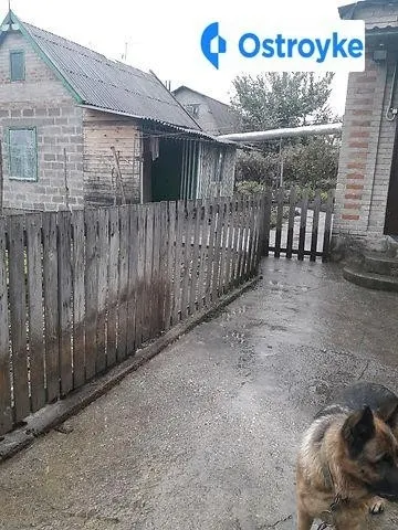 Паторжинского улица — фото 1