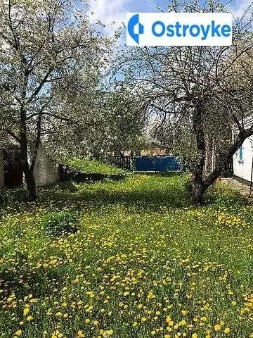 Продажа дома, 84 м², Корсунь-Шевченковский — фото 3