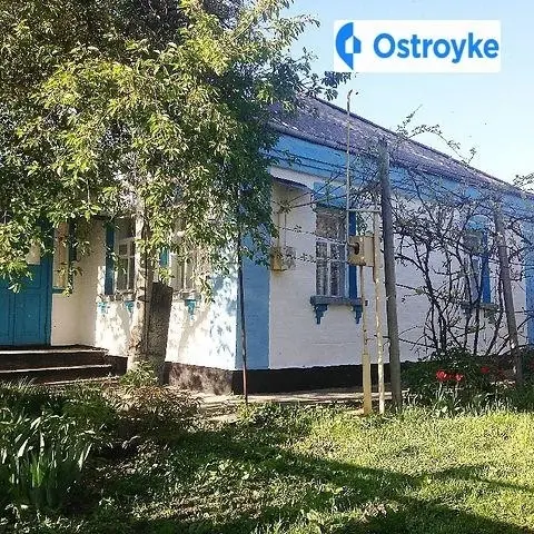 Продажа дома, 84 м², Корсунь-Шевченковский — фото 4