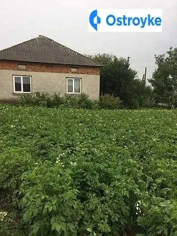 Продаж будинку, 120 м², Збараж — фото 4