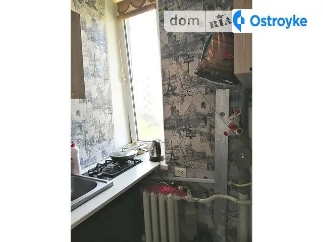 Бабеля Виноградная — фото 4