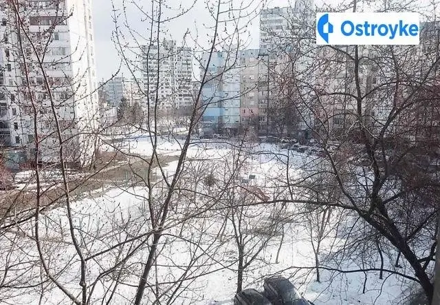 Каштановая улица — фото 2