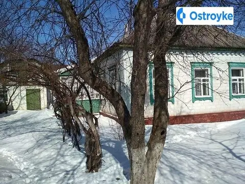 Стрелецкая