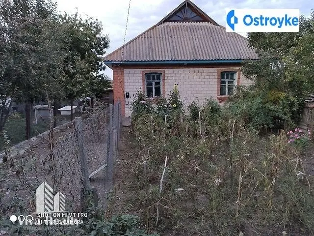Довженка — фото 3