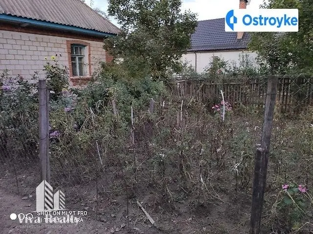 Довженка — фото 2