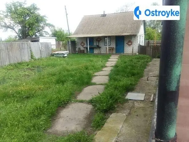 Продаж будинку, 74 м², Оржиця — фото 3