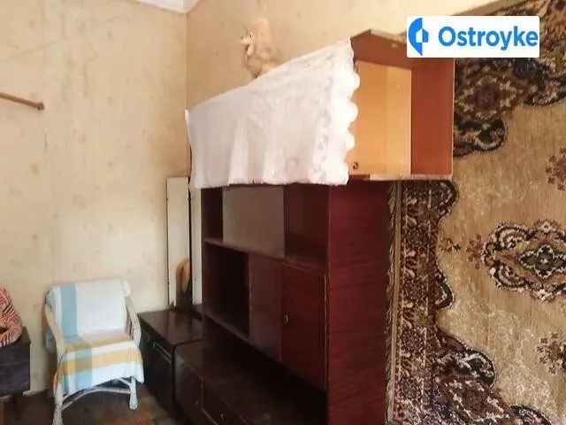 Нежинская Франца Меринга — фото 2