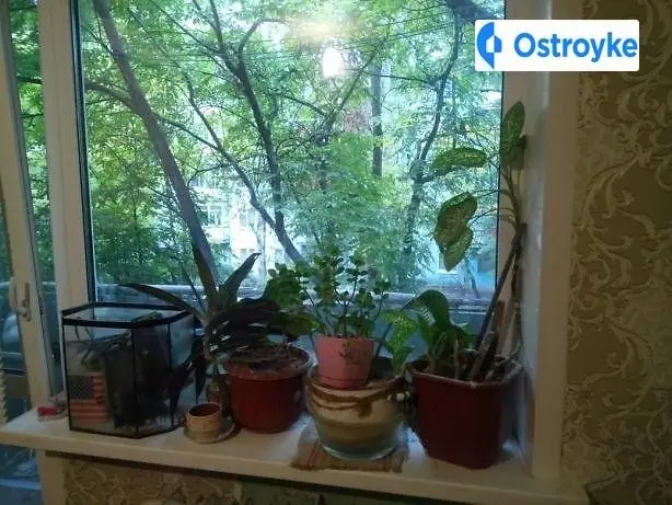 3-кімнатна квартира, 48 м², вул. Центральна, 14, Запоріжжя — фото 2