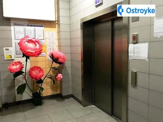Богатырская улица — фото 2