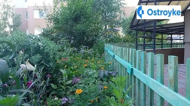 3-кімнатна квартира, 75 м², вул. Симоненко, 2А, Бровари — фото 11