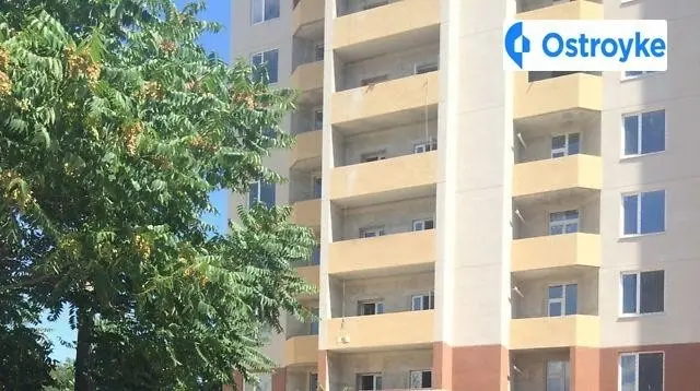 Академика Заболотного улица — фото 2