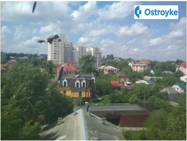 Петропавловская улица — фото 2