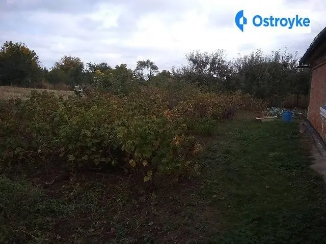Продажа дома, 80 м², Немиров — фото 2