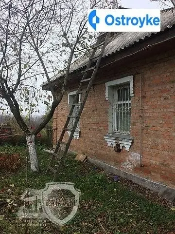 Центральна — фото 5