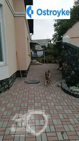 Окремий будинок на Ватутіна — фото 5