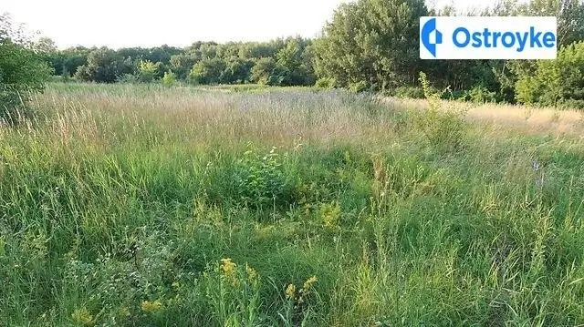 Продаж будинку, 170 м², Київ — фото 4