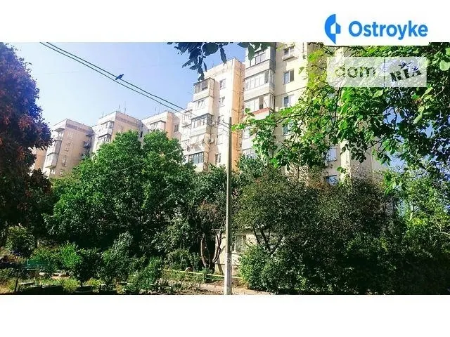 Королева ак. — фото 1