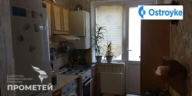 Стрілецька — фото 3