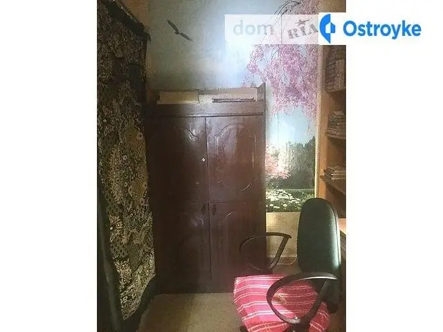 Княжеская Баранова — фото 5