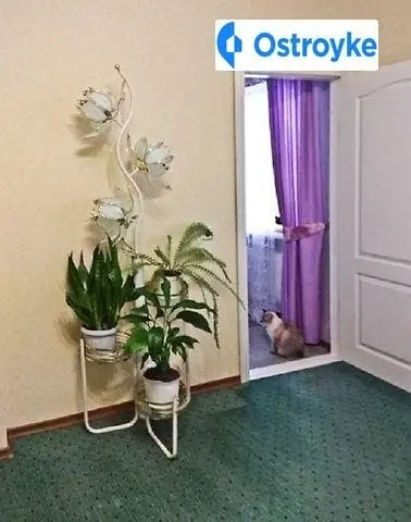Космонавтов улица — фото 3