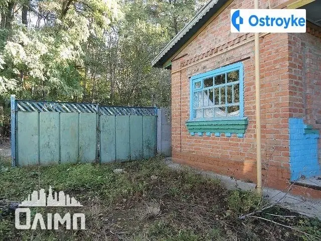 Лесная улица — фото 3