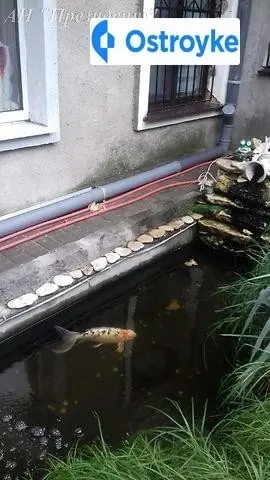 Базарная улица — фото 2