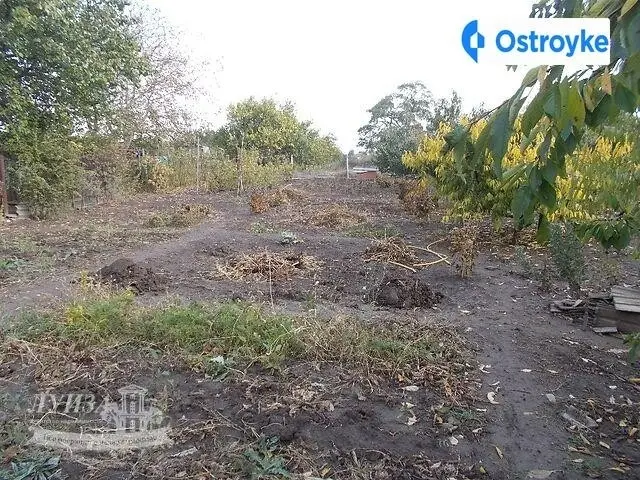 Ольшанского — фото 3